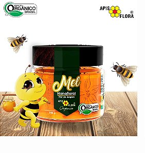 MEL ORGANICO ANGICO 240G (APIS FLORA)