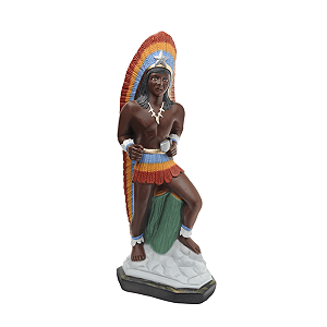 Samambaia, Cacique 50cm