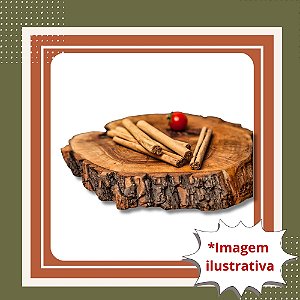 Muda de Canela do Ceilão – Planta Aromática de Casca Valiosa