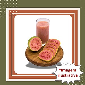 Muda de Goiaba Paluma Vermelha – Frutífera Produtiva e de Frutos Grandes