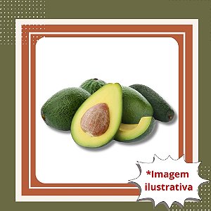 Muda de Abacate Breda Enxertado – Frutos Grandes, Cremosos e Produção Precoce