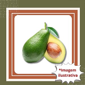 Muda de Abacate Fortuna Enxertado – Frutos Grandes, Cremosos e de Alta Qualidade