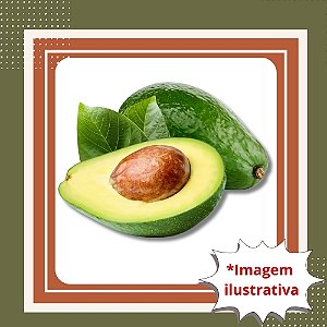 Muda de Abacate Geada Enxertado – Frutos Grandes e Resistentes ao Frio