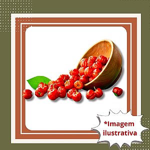 Muda de Acerola Clone – Produção Rápida, Rica em Vitamina C e Muito Produtiva