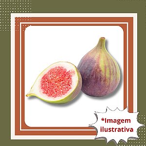 Muda de Figo Roxo de Valinhos – Frutífera Doce e Muito Produtiva