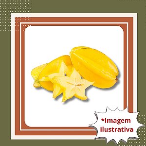 Muda de Carambola – Frutífera Tropical de Frutos Doces e Decorativos