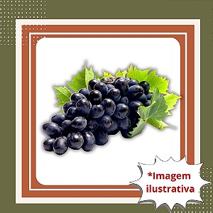 Muda de Uva Francesa – Frutos Doces, Elegantes e de Alta Qualidade