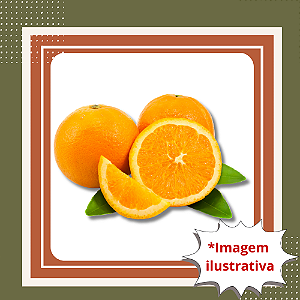 Muda de Laranja Bahia Enxertada – Frutos Doces e Produção Rápida