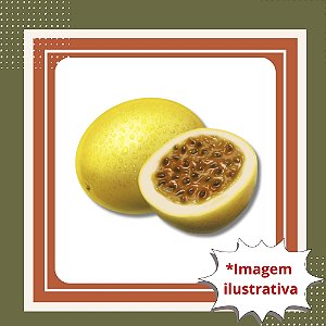 Muda de Maracujá Azedo — Alta Produtividade, Frutos Suculentos e Sabor Marcante