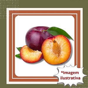 Muda de Ameixa Rubinel Enxertada Produz Rápido e Frutos Grandes