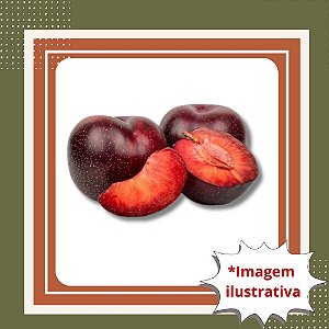 Muda de Ameixa Sanguínea - Frutos Doces e Suculentos em Casa