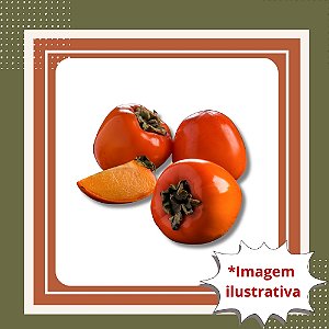 Muda de Caqui Rama Forte Enxertada – Frutífera Produtiva e Saborosa