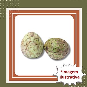 Muda de Cortiça Lisa – Frutífera Nativa Resistente