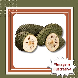 Muda de Graviola – Frutos Grandes, Sabor Tropical e Muito Produtiva