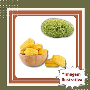 Muda de Jaca Dura – Fruta Grande, Saborosa e Alta Produtividade