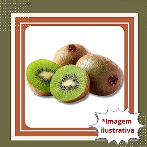 Muda de Kiwi Bruno Fêmea Enxertada – Frutos Grandes e Saborosos