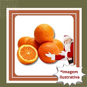 Muda de Laranja Natal Enxertada – Suculenta, Doce e de Alta Produção