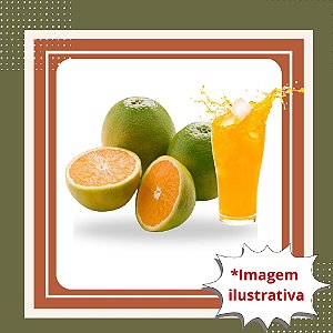 Muda de Laranja Pera Rio Enxertada – Frutos Doces e Produção Rápida