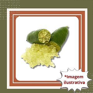 Muda de Limão Caviar Enxertada – Sofisticação e Sabor Exótico