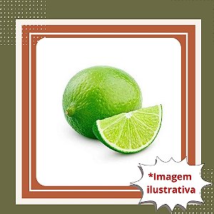 Muda de Limão Galego Enxertada – Produz Rápido e Muito Suculento
