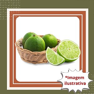 Muda de Limão Tahiti Enxertado — Produção Rápida, Muito Produtivo e Ideal para Vaso ou Quintal