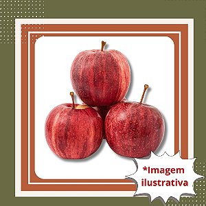 Muda de Maçã Gala Enxertada – Frutos Doces e Crocantes