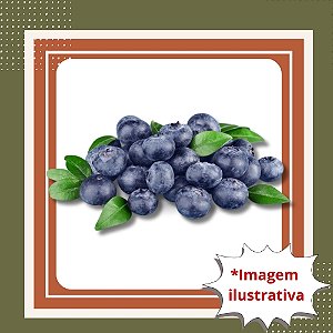 Muda de Mirtilo Clímax – Frutífera Produtiva e Frutos Saborosos