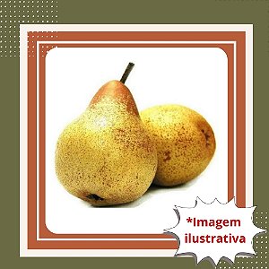 Muda de Pera Kieffer Enxertada – Frutífera Produtiva e Resistente