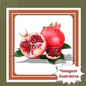 Muda de Romã Gigante – Frutos Grandes, Produtiva e Fácil de Cultivar