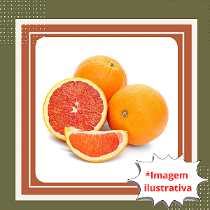 Muda de Laranja Bahia Cara Cara Enxertada – Frutífera Doce e Polpa Avermelhada