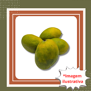 Muda de Manga Ubá Enxertada – Fruta Doce, Suave e de Alta Produção