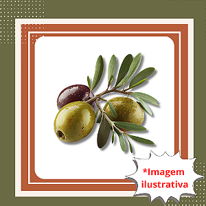 Muda de Oliveira Arbequina – Azeitonas de Alta Qualidade e Fácil Cultivo