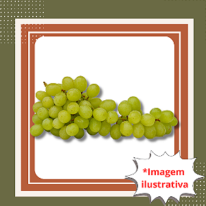 Muda de Uva Niágara Branca Enxertada – Doce, Aromática e Fácil de Cultivar