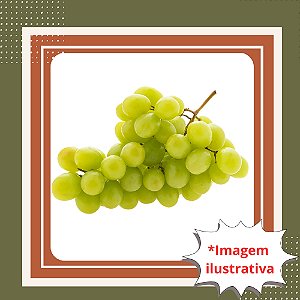 Muda de Uva Rainha Itália – Rápida Produção e Frutos Doces