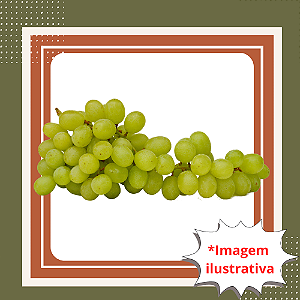 Muda de Uva Rainha Itália – Rápida Produção e Frutos Doces