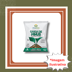 Casca de Pinus Polida Vitaplan – Espessura Pequena 1 kg | Cobertura Natural para Jardins e Vasos