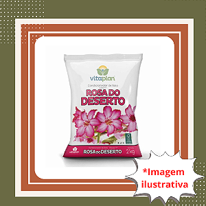 Terra para Rosa do Deserto 2kg Substrato Ideal para Adenium