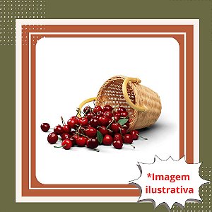 Muda de Cereja de Bolo Enxertada – Frutífera Produtiva e Frutos Deliciosos