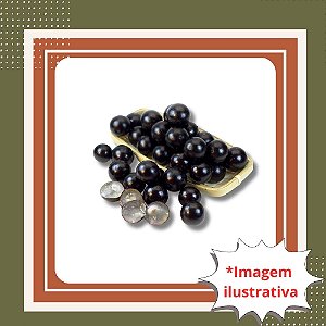 Planta de Jabuticaba Híbrida G – Ideal para Vaso