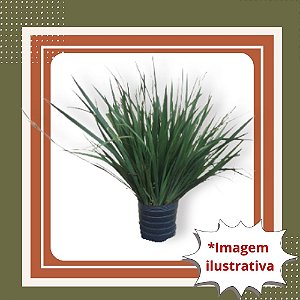 Muda De Moreia Branca – Elegância, Resistência e Fácil Manutenção