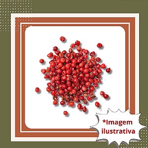 Muda de Aroeira Salsa – Crescimento Rápido e Ornamental