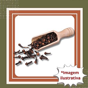 Muda de Cravo-da-Índia – Aromático, Exótico e Muito Valorizado