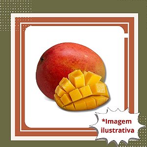 Muda de Manga Keitt Enxertada