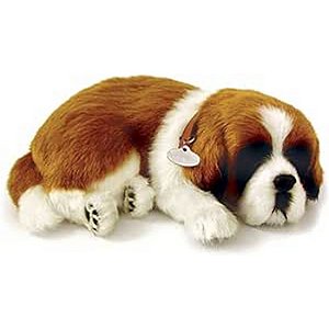FILHOTE CACHORRO SAO BERNARDO PERFECT PETZZZ - IMEX