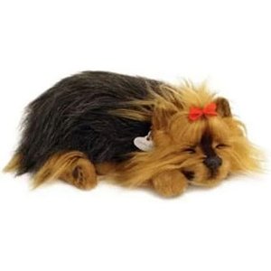 FILHOTE CACHORRO YORKSHIRE PERFECT PETZZZ - IMEX