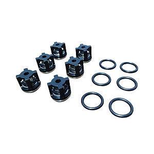 KIT VALVULAS SUCÇÃO/PRESSÃO  4.8/5.5g30 2864