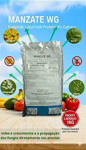 Fungicida Manzate WG Protetor Original 1kg