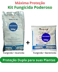 Kit Socorro Vegetal: Recop + Manzate (Doses Fracionadas para Jardinagem)