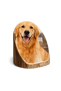 Porta Retrato Pet de Madeira Personalizado com Foto
