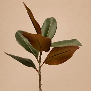 Galho Haste de Magnólia Permanente Premium 7 Folhas Verde Outono 60 cm – Toque Real